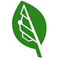 Bigleaf Networks Logo